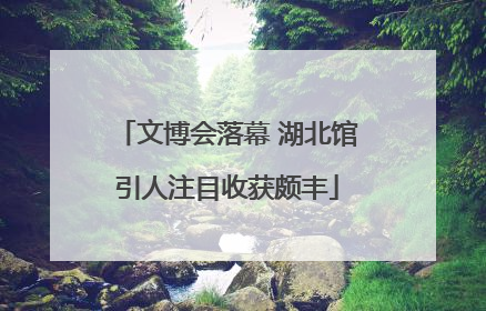 文博会落幕 湖北馆引人注目收获颇丰