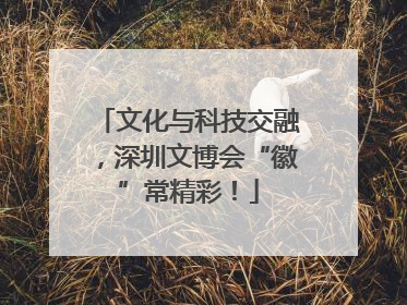 文化与科技交融，深圳文博会“徽”常精彩！