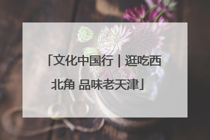 文化中国行｜逛吃西北角 品味老天津