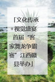 文化传承+视觉盛宴 首届“客家舞龙争霸赛”江西赣县举办