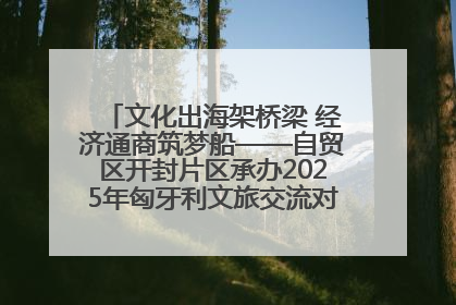 文化出海架桥梁 经济通商筑梦船——自贸区开封片区承办2025年匈牙利文旅交流对接活动专场