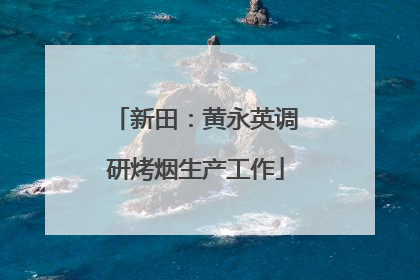 新田：黄永英调研烤烟生产工作