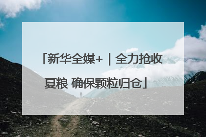新华全媒+｜全力抢收夏粮 确保颗粒归仓