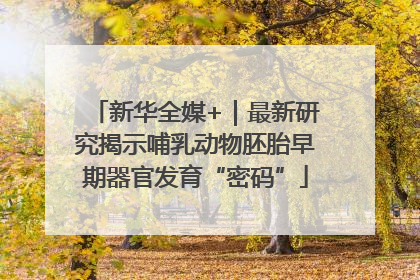 新华全媒+｜最新研究揭示哺乳动物胚胎早期器官发育“密码”