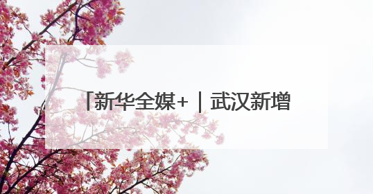 新华全媒+｜武汉新增10条低空物流航线