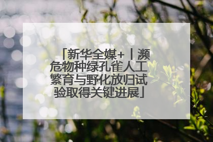 新华全媒+丨濒危物种绿孔雀人工繁育与野化放归试验取得关键进展