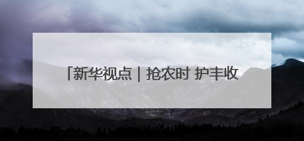 新华视点｜抢农时 护丰收 多维度保障“三夏”生产