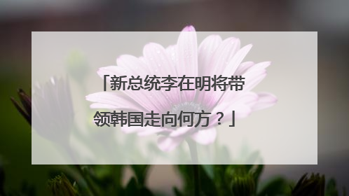 新总统李在明将带领韩国走向何方？
