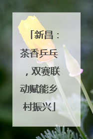 新昌：茶香乒乓，双赛联动赋能乡村振兴
