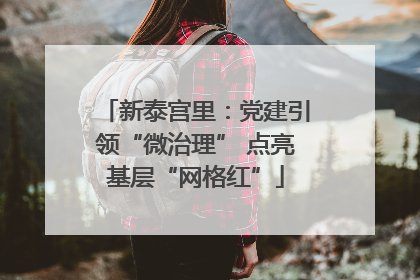 新泰宫里：党建引领“微治理” 点亮基层“网格红”