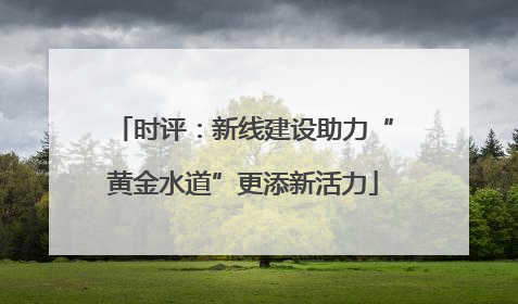 时评：新线建设助力“黄金水道”更添新活力