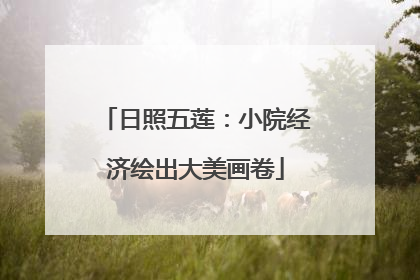 日照五莲：小院经济绘出大美画卷