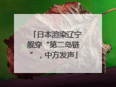 日本渲染辽宁舰穿“第二岛链”，中方发声