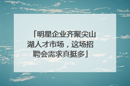 明星企业齐聚尖山湖人才市场，这场招聘会需求真挺多