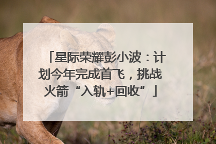 星际荣耀彭小波：计划今年完成首飞，挑战火箭“入轨+回收”