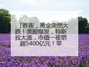 昨夜，黄金突然大跌！美股爆发，特斯拉大涨，市值一夜增超5400亿元！苹果传来大消息