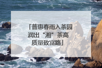 普惠春雨入茶园 润出“湘”茶高质量致富路