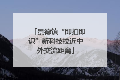 景德镇“即拍即识”新科技拉近中外交流距离