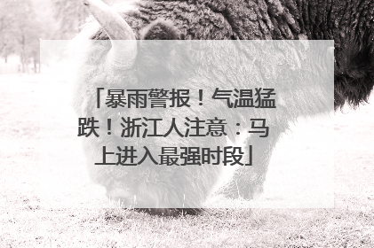 暴雨警报！气温猛跌！浙江人注意：马上进入最强时段