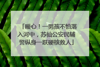 暖心！一男孩不慎落入河中，苏仙公安民辅警纵身一跃硬核救人