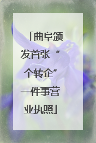曲阜颁发首张“个转企”一件事营业执照