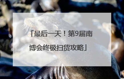 最后一天！第9届南博会终极扫货攻略