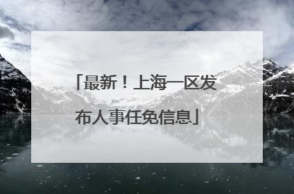最新！上海一区发布人事任免信息