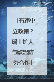 有违中立政策？瑞士扩大与欧盟防务合作