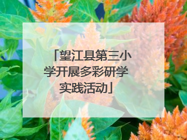望江县第三小学开展多彩研学实践活动