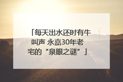 每天出水还时有牛叫声 永嘉30年老宅的“泉眼之谜”