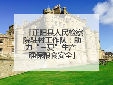 正阳县人民检察院驻村工作队：助力“三夏”生产 确保粮食安全