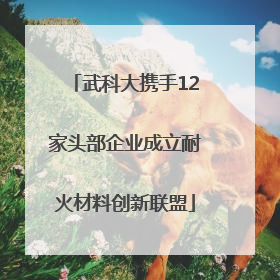 武科大携手12家头部企业成立耐火材料创新联盟