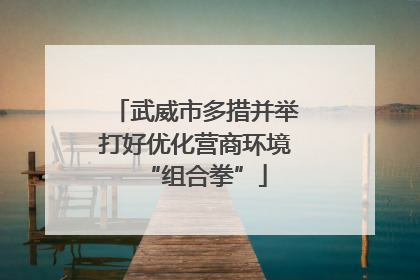 武威市多措并举打好优化营商环境“组合拳”