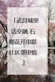 武昌城里话交融 石榴花开串联社区邻里情
