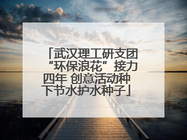 武汉理工研支团“环保浪花”接力四年 创意活动种下节水护水种子
