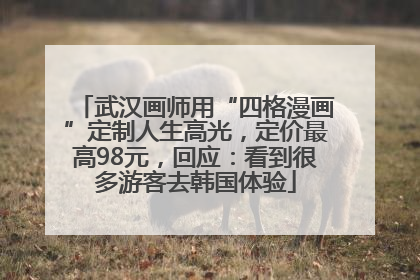 武汉画师用“四格漫画”定制人生高光，定价最高98元，回应：看到很多游客去韩国体验
