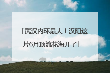 武汉内环最大！汉阳这片6月顶流花海开了