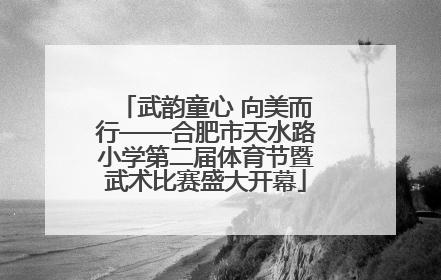 武韵童心 向美而行——合肥市天水路小学第二届体育节暨武术比赛盛大开幕
