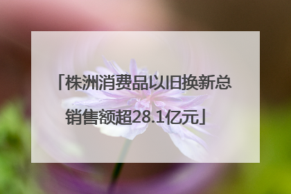株洲消费品以旧换新总销售额超28.1亿元