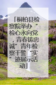 桐柏县检察院举办“检心永向党，青春铸忠诚”青年检察干警“实”迹展示活动