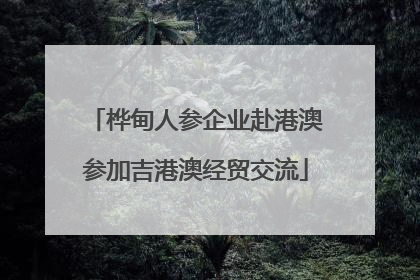 桦甸人参企业赴港澳参加吉港澳经贸交流