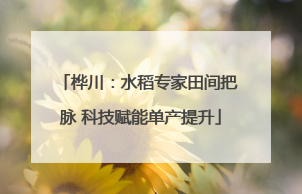 桦川：水稻专家田间把脉 科技赋能单产提升