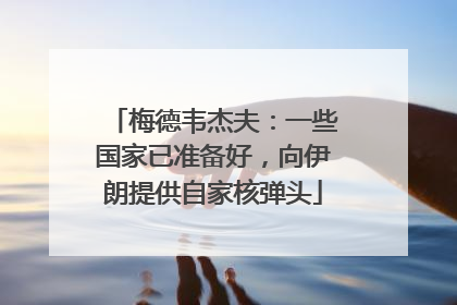 梅德韦杰夫：一些国家已准备好，向伊朗提供自家核弹头
