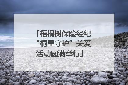 梧桐树保险经纪“桐星守护”关爱活动圆满举行