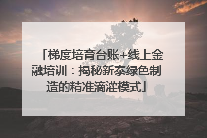 梯度培育台账+线上金融培训：揭秘新泰绿色制造的精准滴灌模式