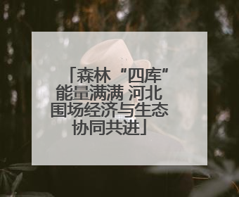 森林“四库”能量满满 河北围场经济与生态协同共进