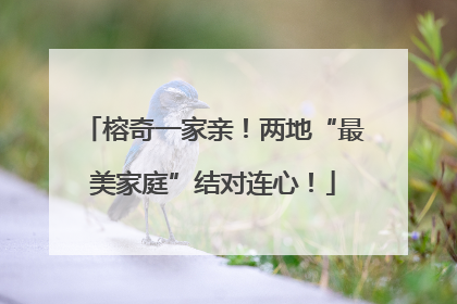 榕奇一家亲！两地“最美家庭”结对连心！