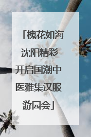 槐花如海 沈阳精彩开启国潮中医雅集汉服游园会