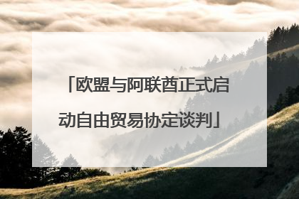 欧盟与阿联酋正式启动自由贸易协定谈判