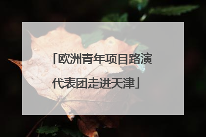 欧洲青年项目路演代表团走进天津